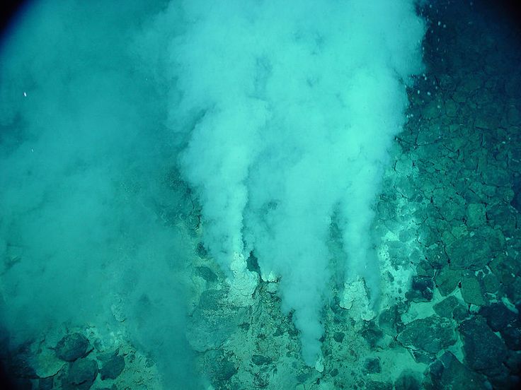 Hydrothermal Vent